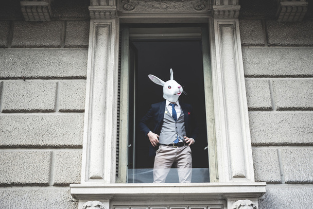 tavşan maskesi adam pencerede ortaya çıktı. - Fotoğraf, Görsel