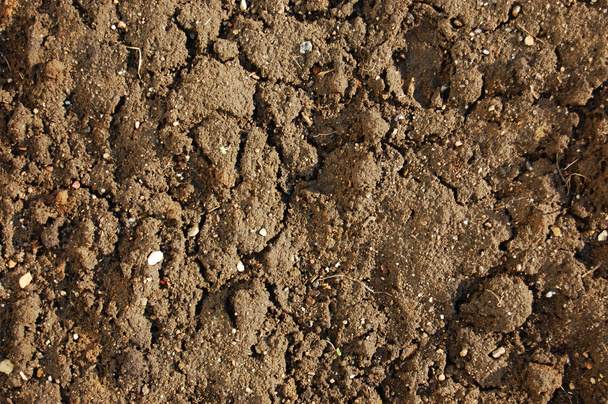 Texture of soil - Photo, Image