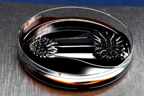 Beautiful forms of ferromagnetic fluid. Iron dissolved in a liqu - Photo, Image