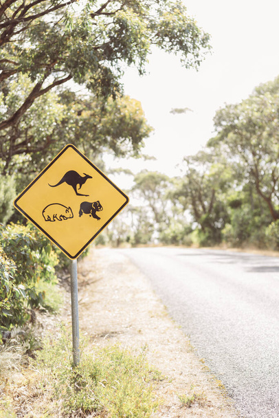 Koala-Straßenschild in Australien neben Känguru und Wombat - Foto, Bild