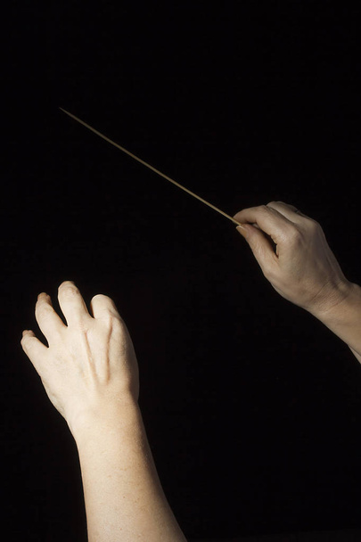 Hands of an orchestra conductor - Photo, image