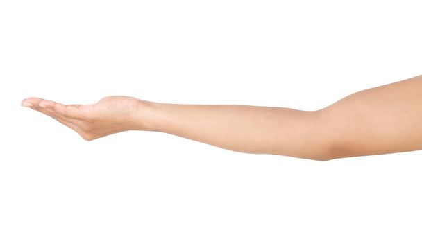 Жіночі азіатські жести рук ізольовані на білому тлі
.  - Фото, зображення
