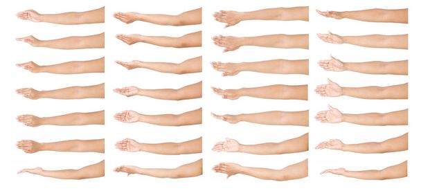GROUP жести жіночих азіатських рук ізольовані на білому тлі
.  - Фото, зображення
