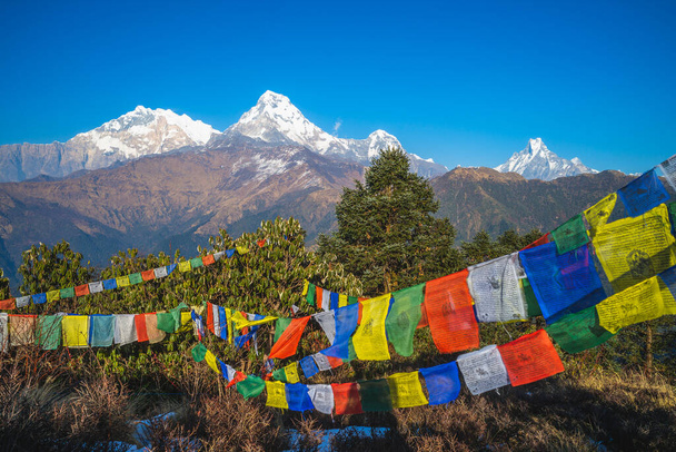 Annapurna peak and Prayer flag on poon hill, nepal - 写真・画像