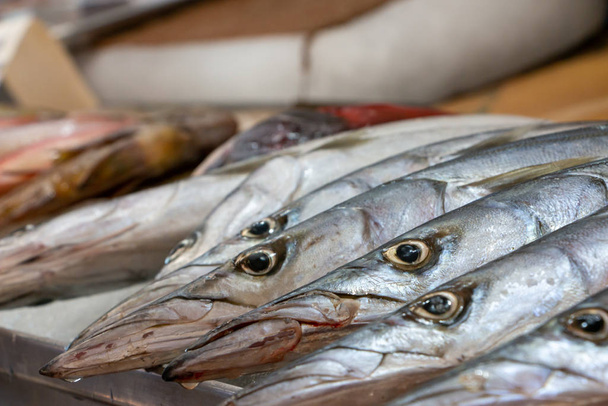 Kala myyntikojulla Ensenadan markkinoilla
 - Valokuva, kuva