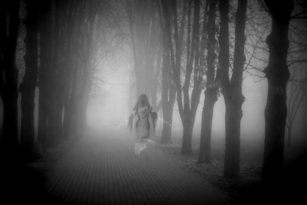 Sisli bir şehir parkında ürkütücü bir hayalet - Fotoğraf, Görsel