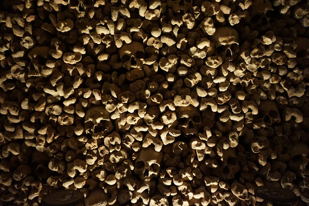 Emberi csontok és koponyák, mint kalóz-textúra - Fotó, kép