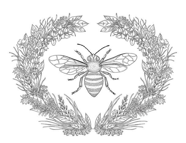 Design for t-shirts with image of wreath of flowers and honey. Black and white vector illustration. - Vector, Image