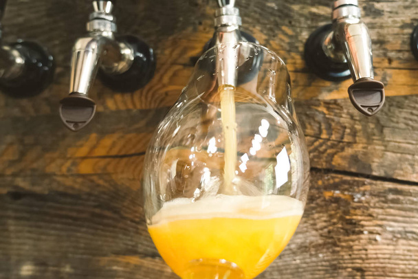 Pouring beer into a glass from the tap at bar. Beer bottling. - 写真・画像
