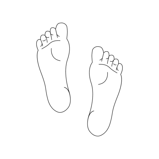Linienzeichnung der linken und rechten Fußsohle. - Vektor, Bild