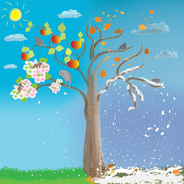 Apfelbaum in vier Jahreszeiten am bewölkten Himmel Hintergrund mit Sonne.  - Vektor, Bild