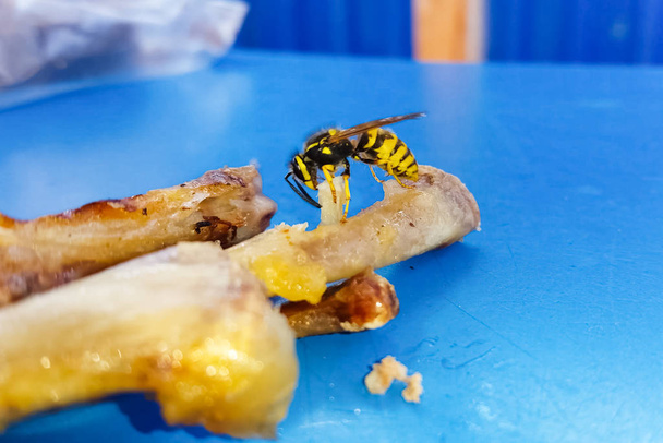 Η σφήκα τρέφεται με κρέας ποδιών κοτόπουλου στο τραπέζι. - Φωτογραφία, εικόνα