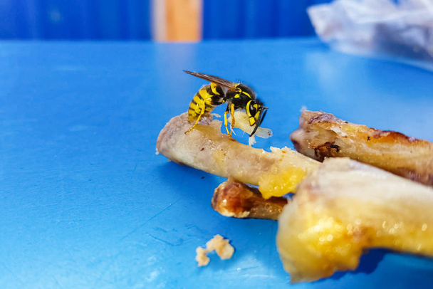 Die Wespe ernährt sich von Hühnerbeinfleisch auf dem Tisch. - Foto, Bild
