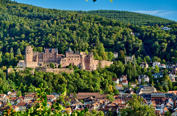 Heidelberg cidade no rio Neckar, Alemanha
  - Foto, Imagem