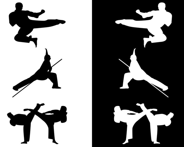 taekwondo y karate
 - Vector, imagen