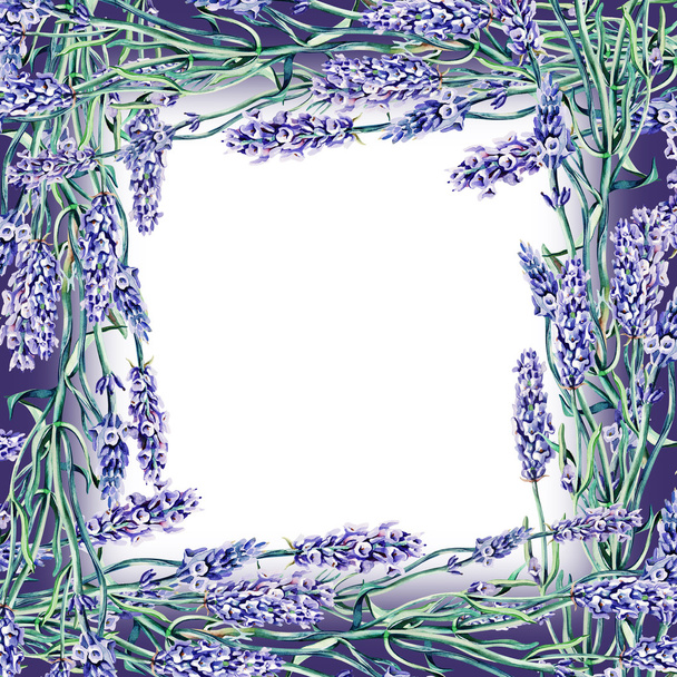 Lavender Frame - Фото, зображення