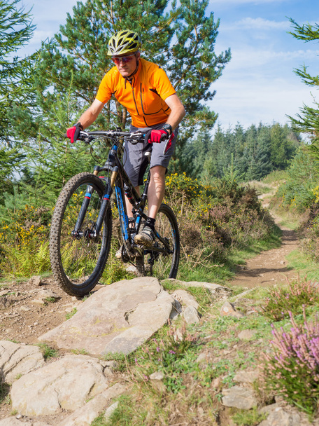 Maastopyöräilijä ratsastus polkuja Walesissa
 - Valokuva, kuva