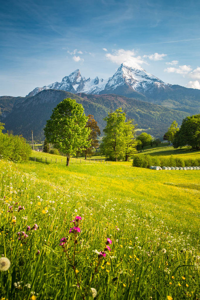 Idylická horská krajina v Alpách s kvetoucí loukami na jaře - Fotografie, Obrázek
