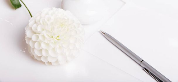 Brief, weißer Umschlag auf weißem Hintergrund mit pinkfarbener englischer Rose. Einladungskarten oder Liebesbrief. - Foto, Bild