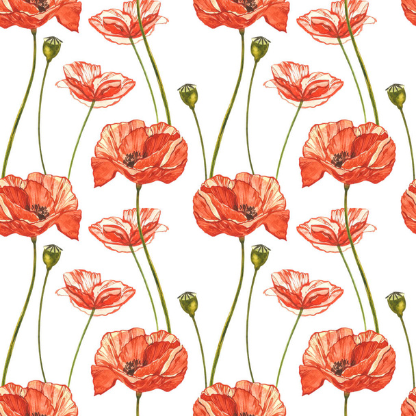 Watercolor red poppies. Seamless patterns. Wild flower set isolated on white. Botanical watercolor illustration, red poppies bouquet, rustic poppy flowers. - Фото, зображення