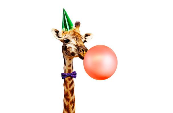 Giraffe blasen Luftballon Geburtstagsparty weiß bg - Foto, Bild