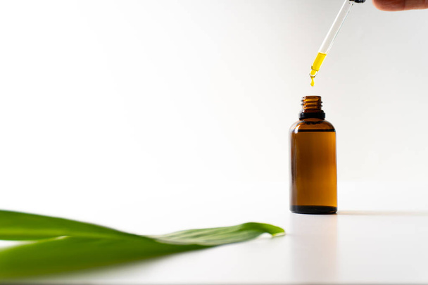 Koolzaadolie of andere olie die in een flesje naast een groen blad valt - witte achtergrond - Foto, afbeelding