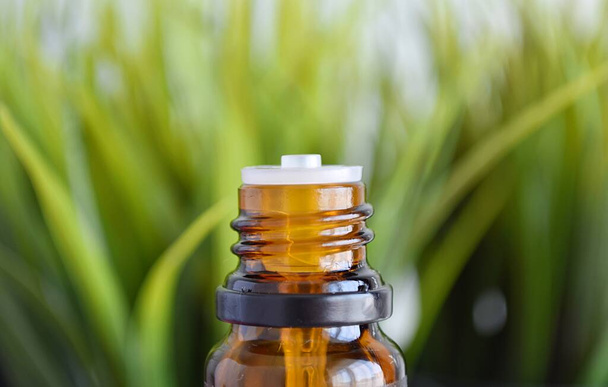Essential oil bottle on green plants background, alternative medicine, aromatherapy, phytotherapy, spa. - 写真・画像