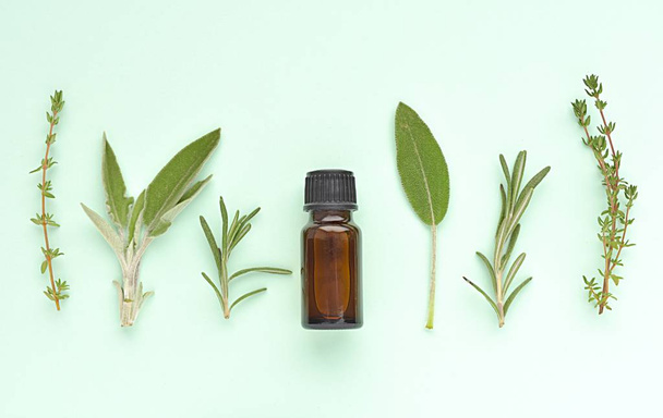 Herb oils close up shot - Photo, Image