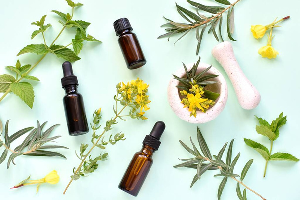Herbal medicine, natural cosmetic, phytotherapy concept, flat lay on green background with fresh herbs and flowers, essential oils, mortar and pestle. - 写真・画像