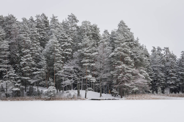 Сніговий зимовий пейзаж вдень
 - Фото, зображення