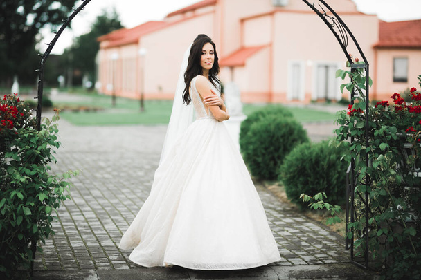 Beauty portrait of bride wearing fashion wedding dress with feathers with luxury delight make-up and hairstyle - Fotó, kép