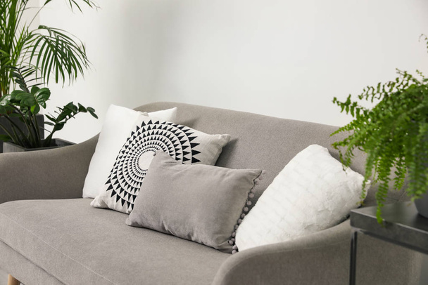 Soft pillows on grey sofa in living room - Zdjęcie, obraz