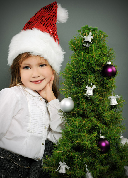 Christmas portrait - Valokuva, kuva
