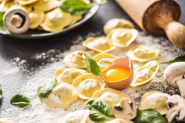 Raw ravioli with flour egg musrooms and and spinach. Italian or mediterranean healthy cuisine - 写真・画像