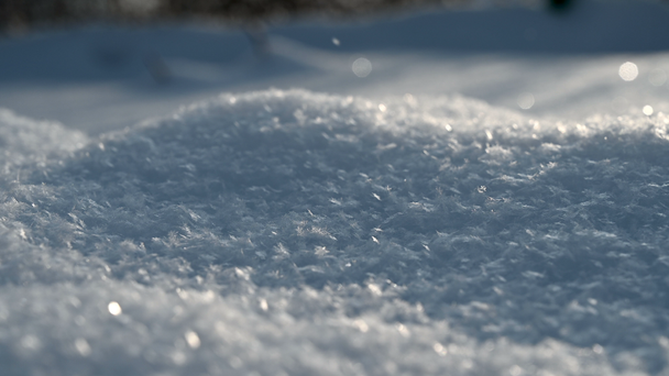 Sněhové vločky zblízka během sněžení. - Záběry, video