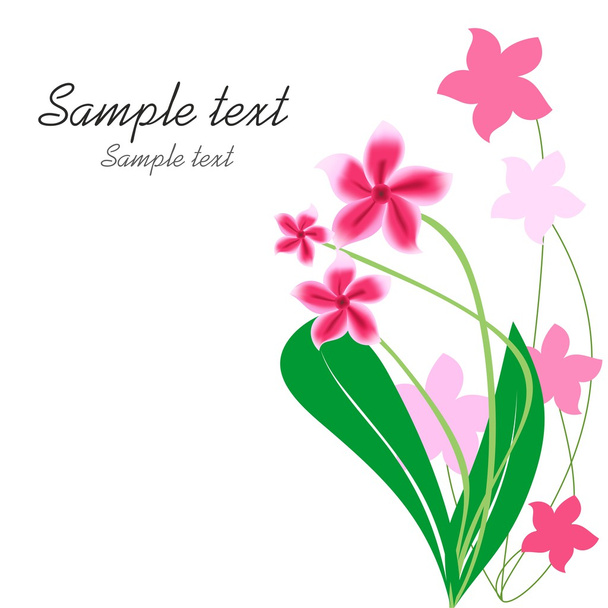 Flower Background - Vector, Image
