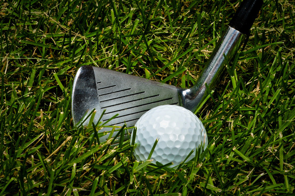 Golf club i piłka na trawie - Zdjęcie, obraz