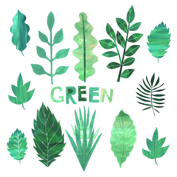 Paper collage green leaves collection - Fotografie, Obrázek