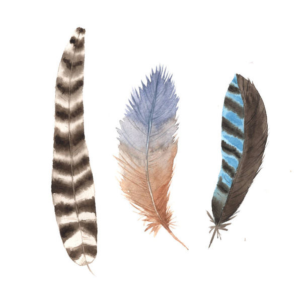 Watercolor boho feathers collection - Foto, afbeelding