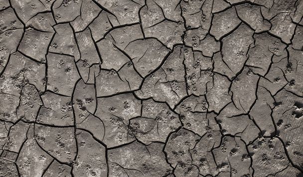 cracked soil texture concept of dry ground and ecology - Foto, imagen
