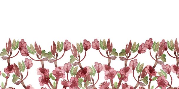 Watercolor hand painted nature floral banner frame composition with pink apple blossom flowers on the branches with green leaves bouquet on the white background for invitations and greeting cards - Photo, image