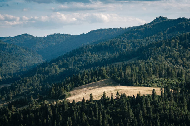 Nyári hegyvidéki táj Szlovákiában, utazási koncepció - Fotó, kép