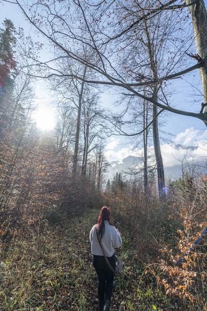 Perdeu a cabeça de leitura jovem menina bonita com um smartphone na mão, andando por uma floresta em uma área arborizada e frondosa no Parque Natural Bucegi, Romênia
. - Foto, Imagem
