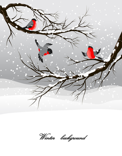 Winter background with bullfinch - Vecteur, image