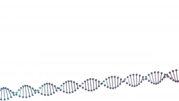Alsó harmadik DNS Science (4k hurok) Animáció forgó DNS húr alján képernyő cím háttér. Tökéletes hurok alfa matt, mint a zöld képernyő. - Felvétel, videó