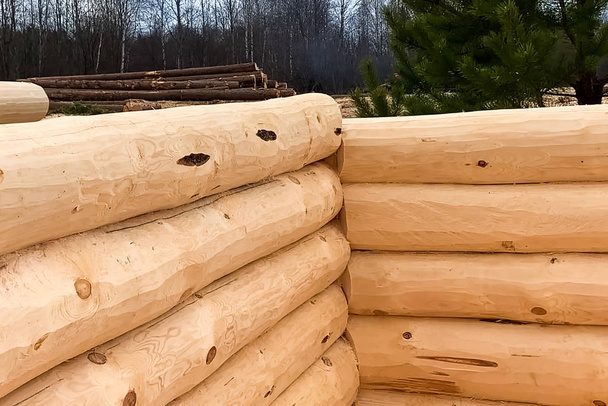 Drying and assembly of wooden log house at a construction base.  - Photo, Image