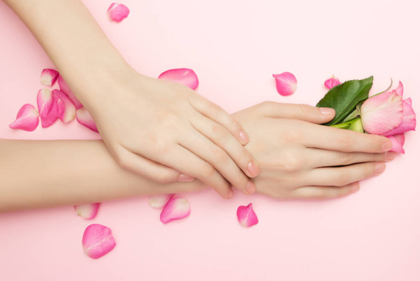 De vrouwenhanden houden rozenbloemen vast op een roze achtergrond. Een dunne pols en natuurlijke manicure. Cosmetica voor een gevoelige huidverzorging. Natuurlijke bloemblaadjes cosmetica, anti-rimpel handverzorging. - Foto, afbeelding