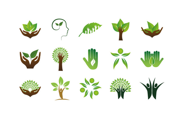 Isolato foglie naturali supporto forme icona set disegno vettoriale
 - Vettoriali, immagini