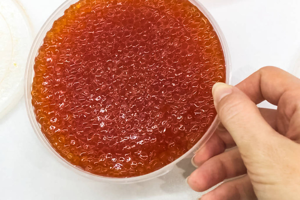 red caviar in plastic container. Salmon caviar, diet food. - Photo, Image