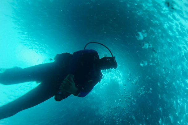 Mergulhador de mergulho nadando sob a escola de peixes. debaixo de água
. - Foto, Imagem